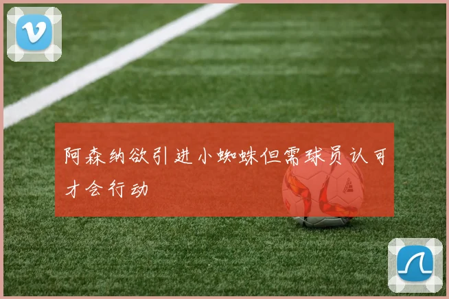 阿森纳欲引进小蜘蛛但需球员认可才会行动