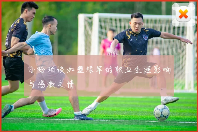 小哈珀谈加盟绿军的职业生涯影响与感激之情