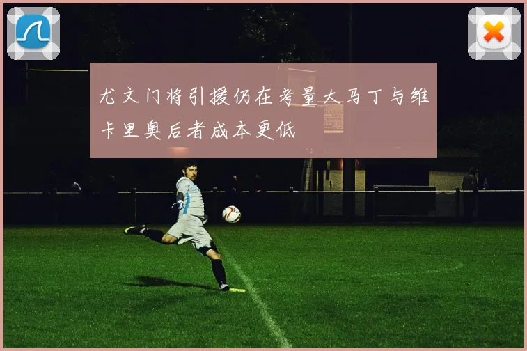 尤文门将引援仍在考量大马丁与维卡里奥后者成本更低